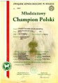 /album/champion-certificates/jch-pl-jpg/